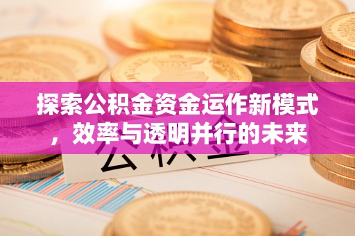 永靖探索公积金资金运作新模式，效率与透明并行的未来