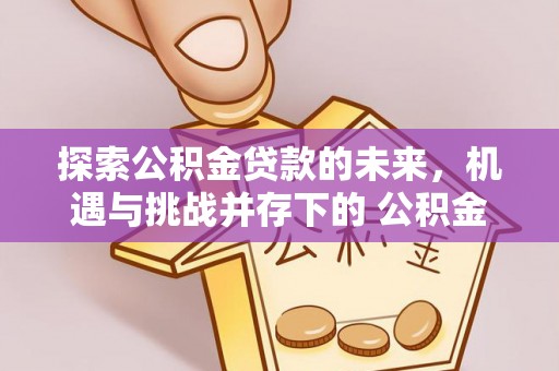 永靖探索公积金贷款的未来，机遇与挑战并存下的 公积金贷款风险防控