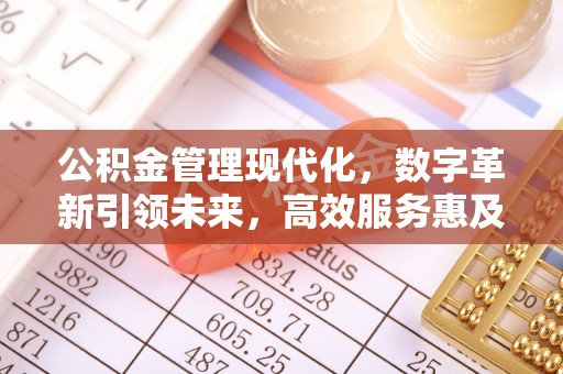 永靖公积金管理现代化，数字革新引领未来，高效服务惠及民生
