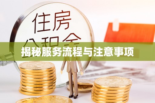 永靖揭秘服务流程与注意事项