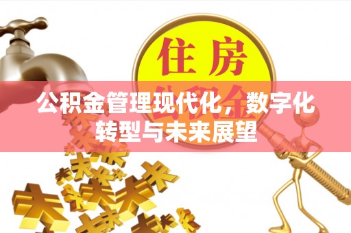 永靖公积金管理现代化，数字化转型与未来展望