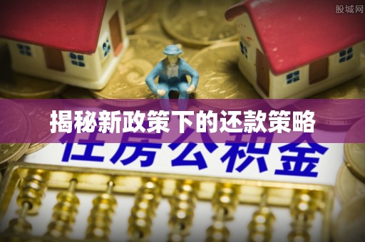永靖揭秘新政策下的还款策略