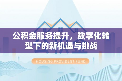 永靖公积金服务提升，数字化转型下的新机遇与挑战