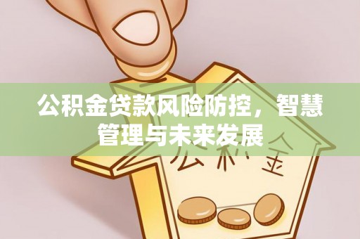 永靖公积金贷款风险防控，智慧管理与未来发展
