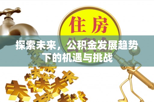 永靖探索未来，公积金发展趋势下的机遇与挑战