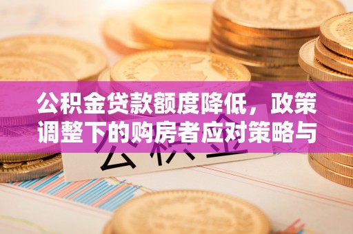 永靖公积金贷款额度降低，政策调整下的购房者应对策略与未来趋势