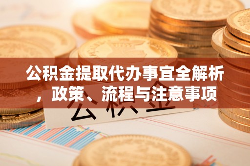 永靖公积金提取代办事宜全解析，政策、流程与注意事项