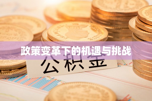 永靖政策变革下的机遇与挑战