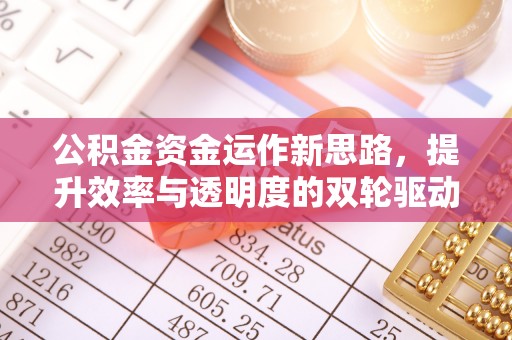 永靖公积金资金运作新思路，提升效率与透明度的双轮驱动