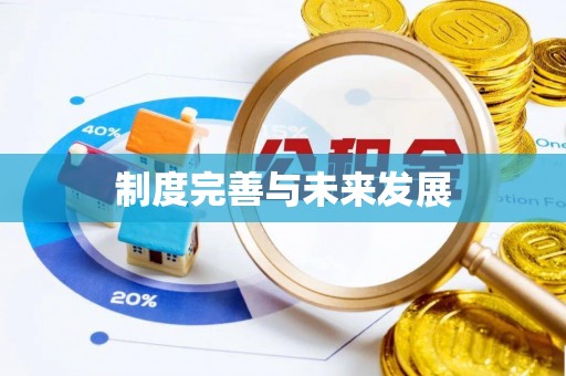 永靖制度完善与未来发展