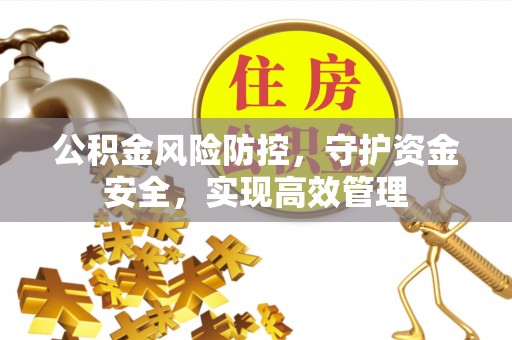 永靖公积金风险防控，守护资金安全，实现高效管理