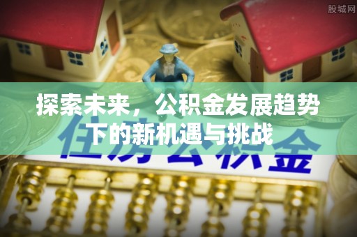永靖探索未来，公积金发展趋势下的新机遇与挑战